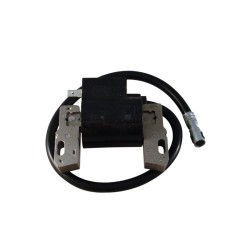 Bobine adapt. Briggs &...