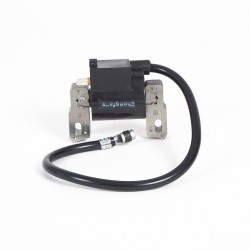 Bobine Adapt. Briggs...