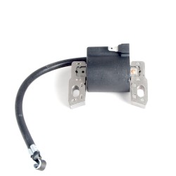 Bobine Adapt. Briggs &...