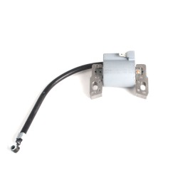 Bobine Adapt. Briggs &...