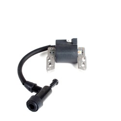 Bobine Adapt. Briggs &...