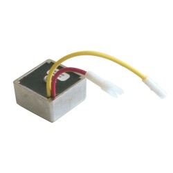 Régulateur adaptable B&S...