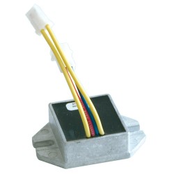 Régulateur adapt. Briggs &...