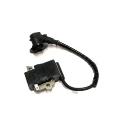 Bobine d'allumage pour...