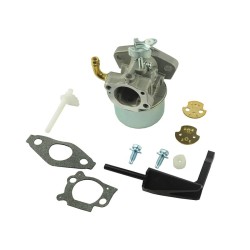 Carburateur adapt. Briggs &...